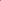 Tulpan 'Purple Pride'