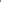 Tulpan 'Apricot Impression'
