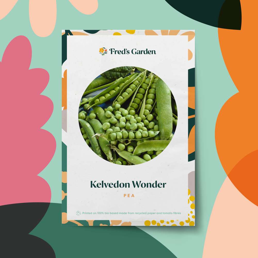 Ärta 'Kelvedon Wonder' (frö)