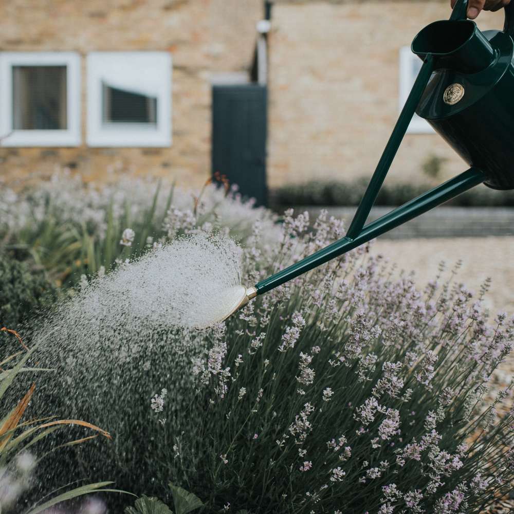 Haws The Warley Fall  9 L grön