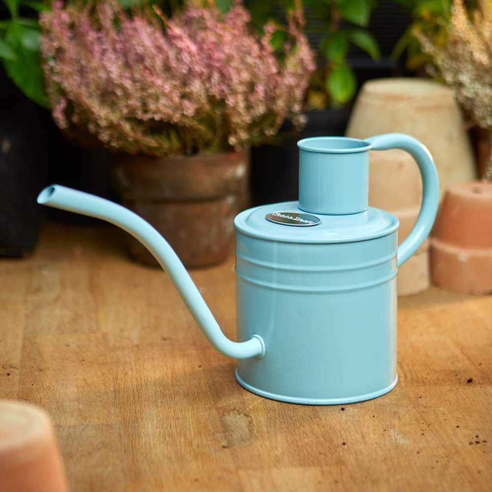 Inomhus vattenkanna – Blue Sky 1 L