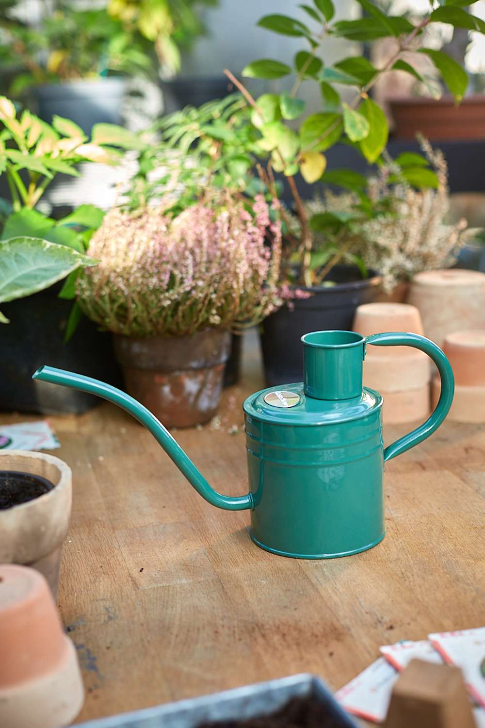 Inomhus vattenkanna – Sage Green 1 L