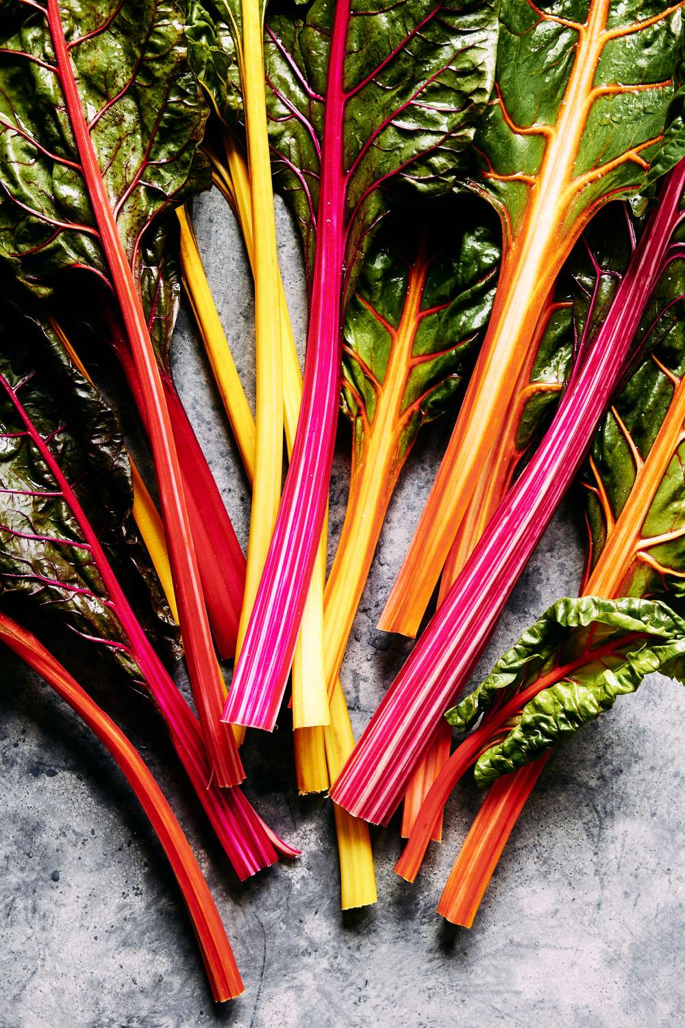 Mangold 'Bright Lights' (frö)