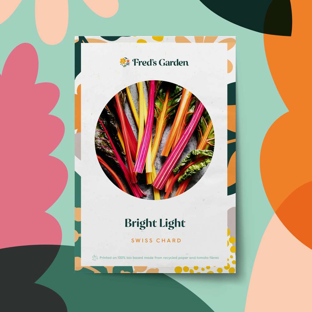 Mangold 'Bright Lights' (frö)