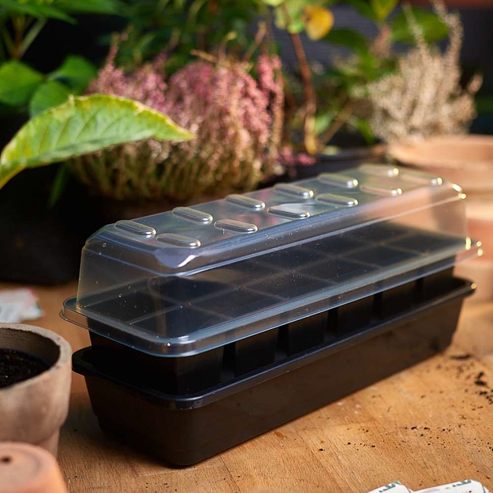 Miniväxthus med vattenreservoar