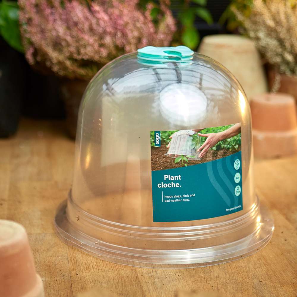 Odlingsklocka, 3-pack, Ø26 cm