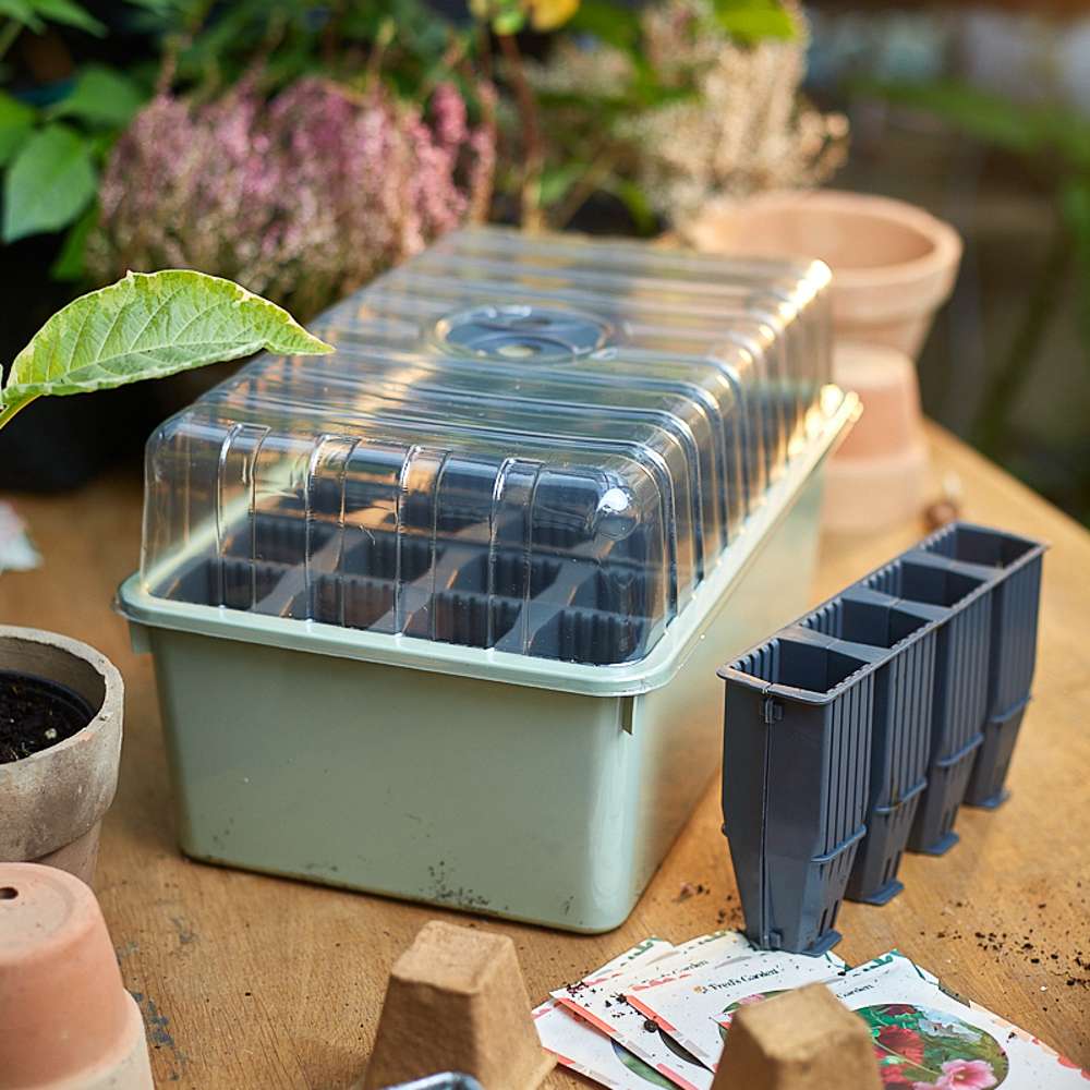 Odlingsset, 28 djupa celler