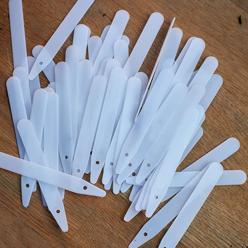 Plansetiker, 15 cm (50 st)