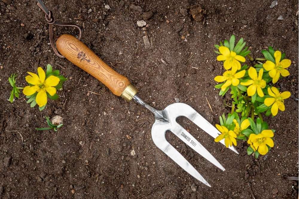 Planteringsgaffel i ask