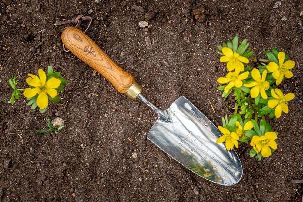 Planteringssked i ask