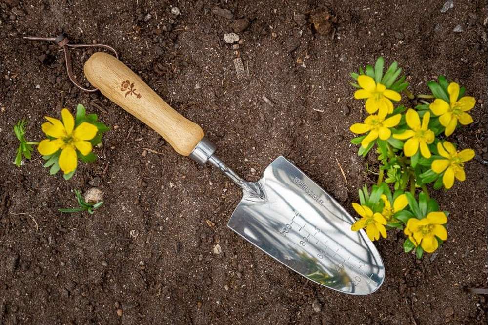 Planteringssked i bambu