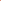 Ranunkelblandning 'Elegance Pastello Peach'