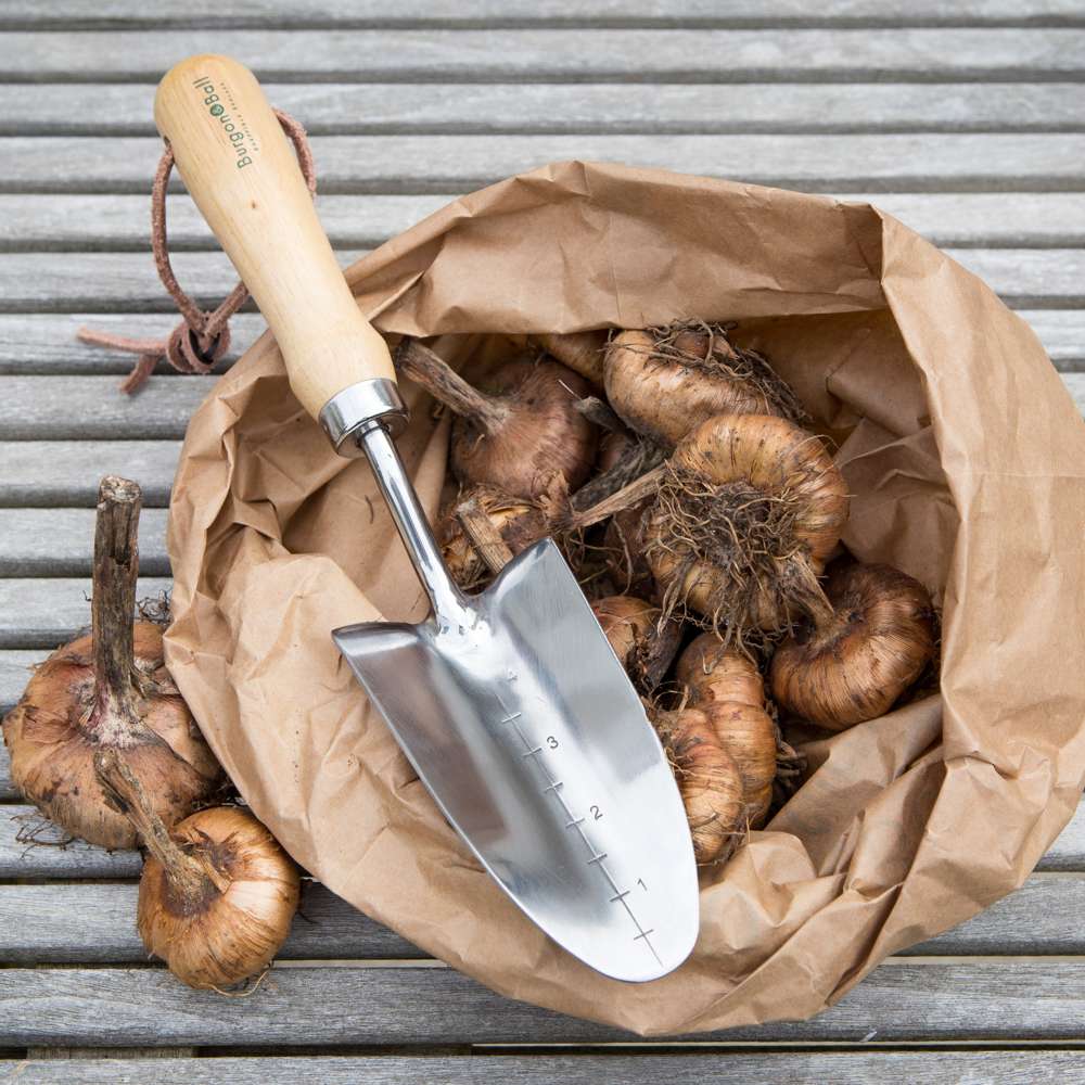 RHS Planteringsspade