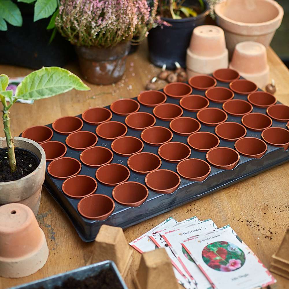 Såbrätte med 40 krukor