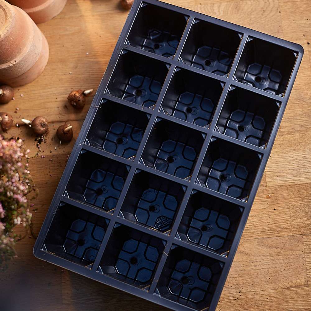 Sålåda med 15 celler, 5 st.