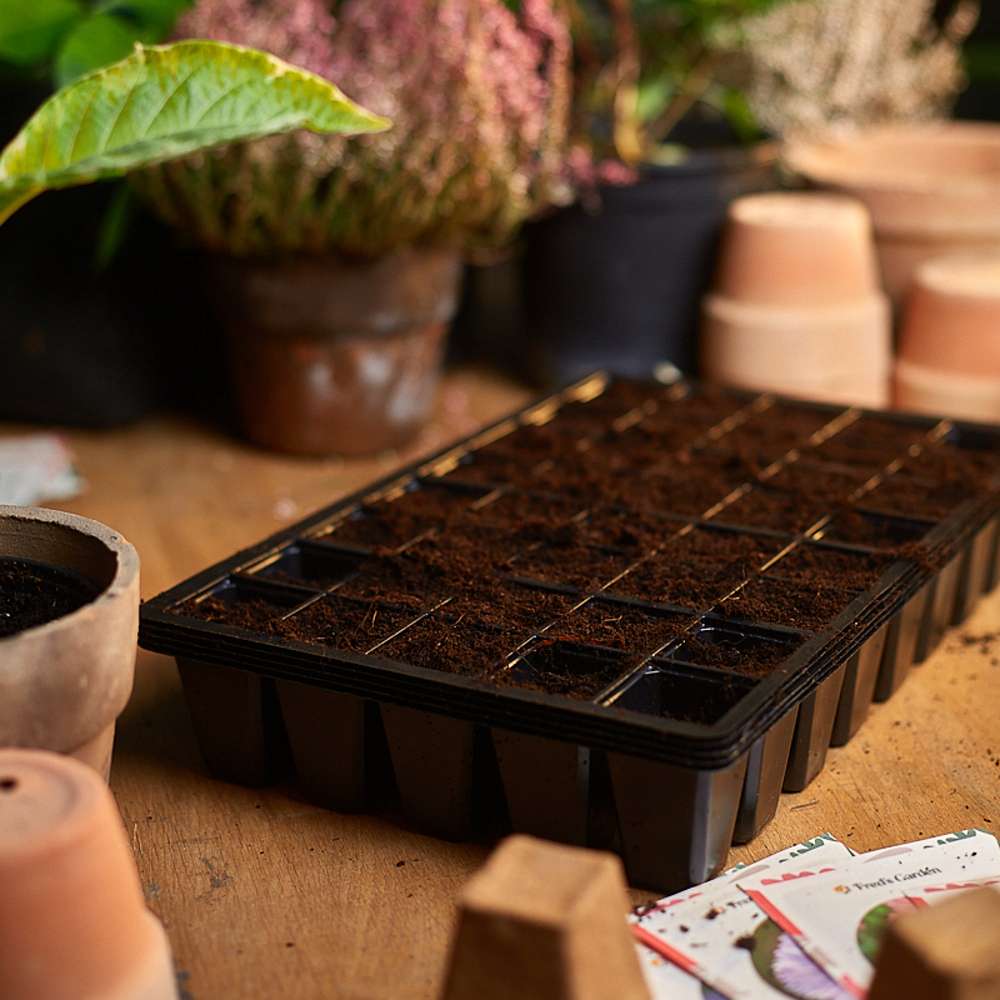 Sålåda med 40 celler, 5 st.