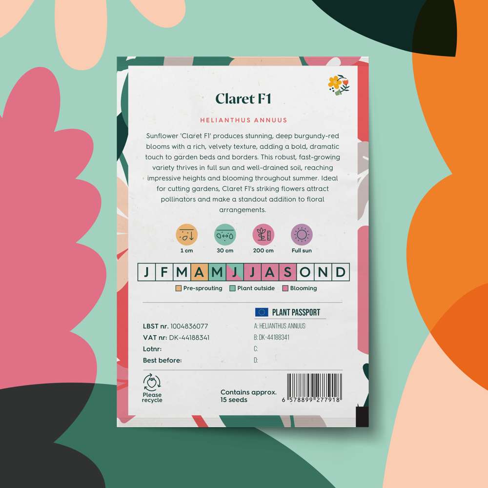 Solros 'Claret F1' (frö)