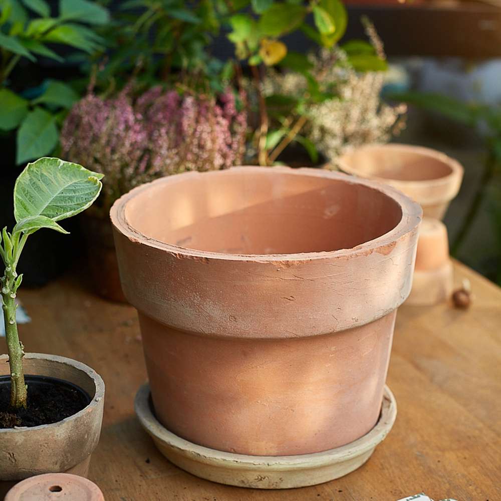 Terracotta fat Ø: 21 cm