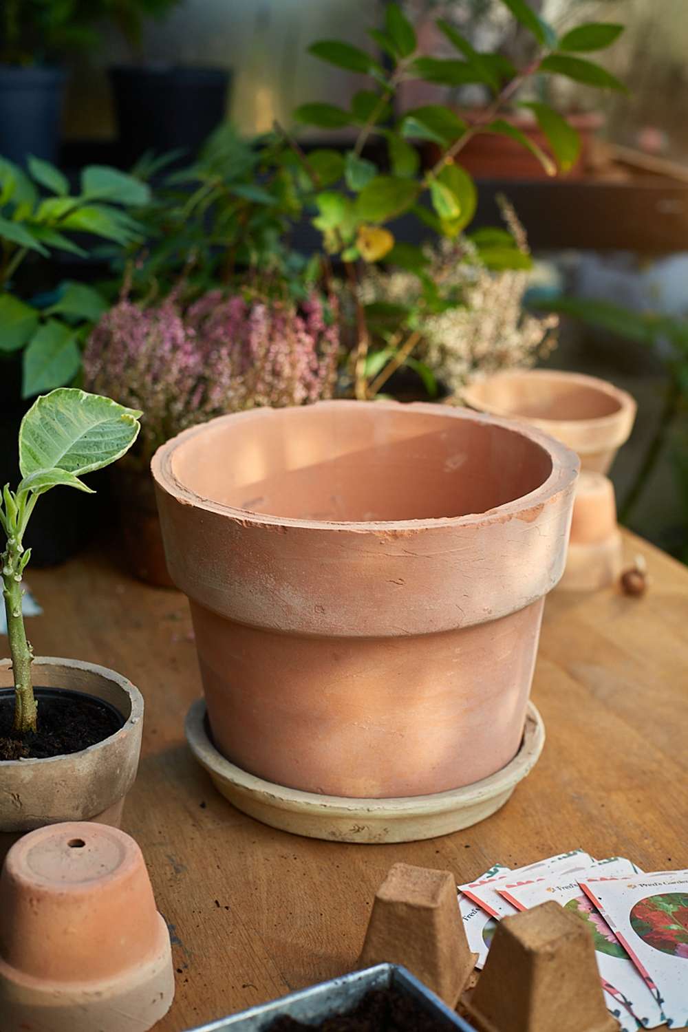 Terracotta kruka – Ø: 26 cm