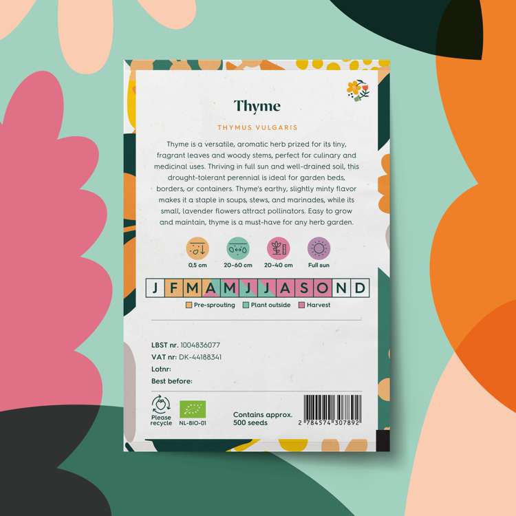 Timjan (BIO frö) (Thymus vulgaris) – planta i trädgårdsbädden