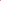 Tulpan 'Apricot Delight'