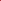 Tulpan 'Cherry Delight'