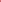 Tulpan 'Pink Pride'
