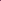 Tulpan 'Purple Heart'