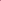 Ros 'Boscobel™' (Auscousin)
