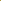Ros 'Golden Celebration®' (Ausgold)